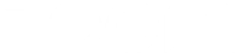 zoom logo