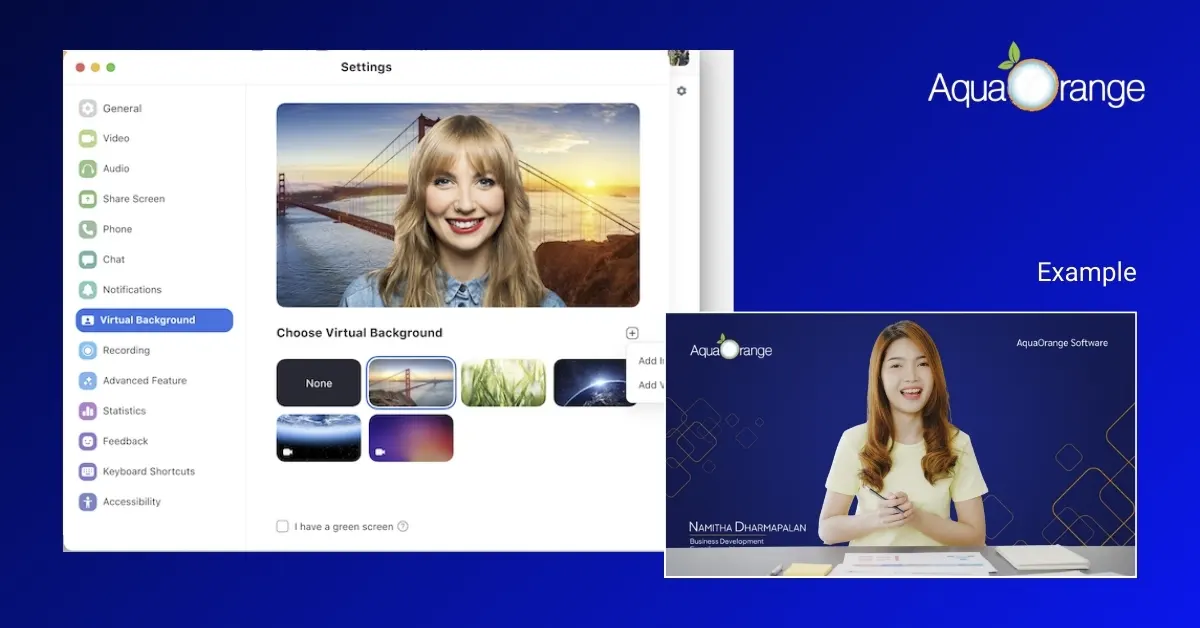 Zoom Feature Virtual Background