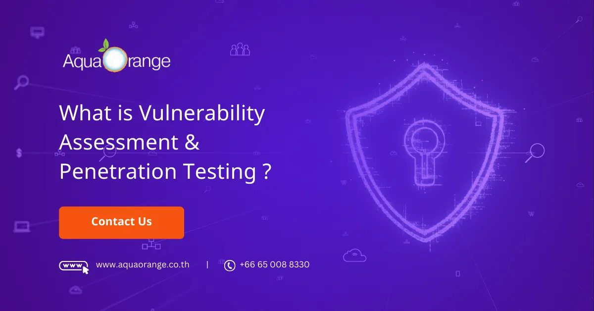 What is Vulnerability Assessment Penetration Testing